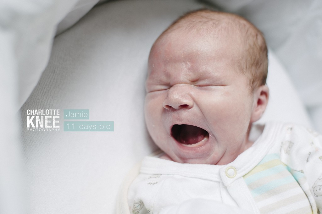 Newborn-Photography-Baby-Jamie-