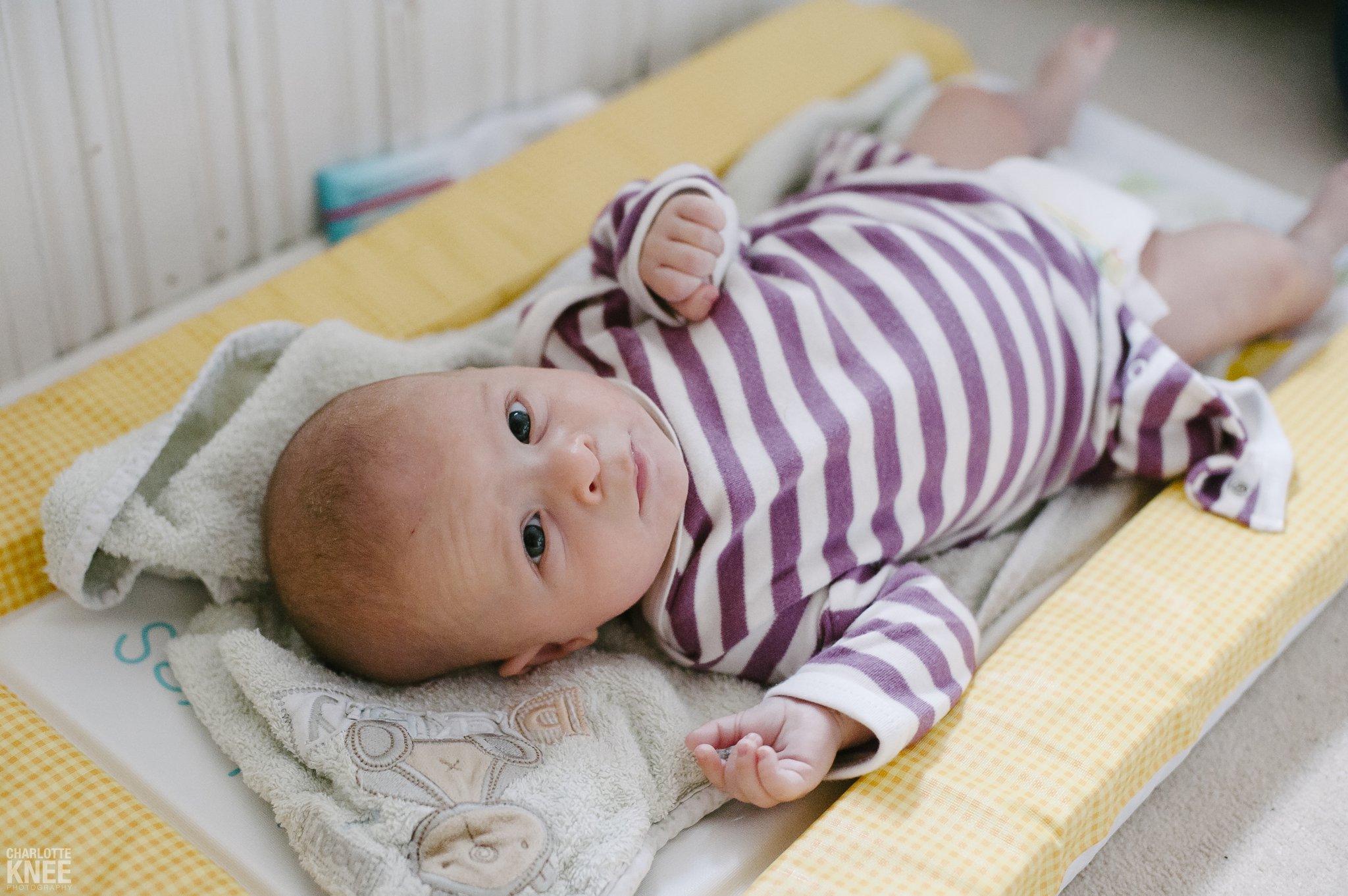 Newborn-Photography-Baby-Rufus-Charlotte-Knee-Photography_0003.jpg